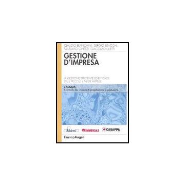 Gestione D'impresa. La Gestione Efficiente Ed Efficace Delle Piccole E Medie Imprese. Il Controllo Dei Processi Di Progettazione E Di Produzione - Bianchini; Bracchi; Ghezzi; Ulietti - Franco Angeli - 9788846460967