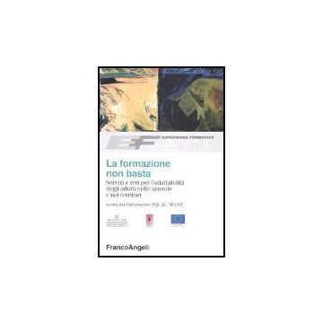 La Formazione Non Basta. Servizi E Reti Per L'adattabilita' Degli Adulti Nelle  Aziende E Nei Territori - Partenariato Equal Mo.re. - Franco Angeli - 9788846471451