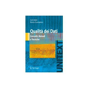 Qualita' Dei Dati. Concetti, Metodi E Tecniche