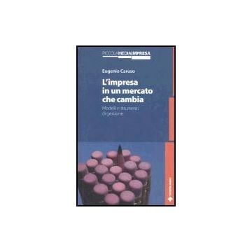 L' Impresa In Un Mercato Che Cambia. Modelli E Strumenti Di Gestione