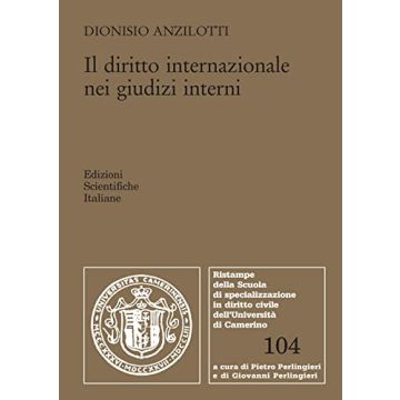 Il diritto internazionale nei giudizi interni