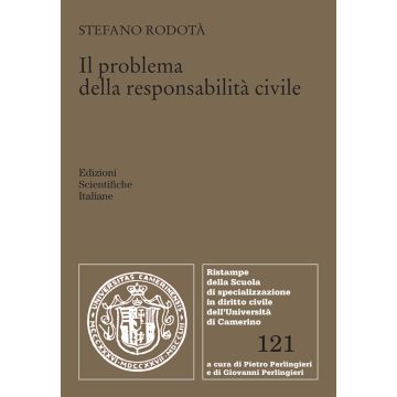 Il problema della responsabilità civile