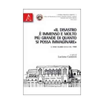 «il Disastro E' Immenso E Molto Piu' Grande Di Quanto Si Possa Immaginare». Il  Sisma Calabro-siculo Del 1908 -  - Aracne - 9788854832534