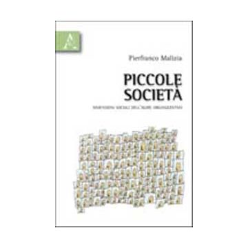 Piccole Societa'. Dimensioni Sociali Dell'agire Organizzativo - Malizia Pierfranco - Aracne - 9788854834675