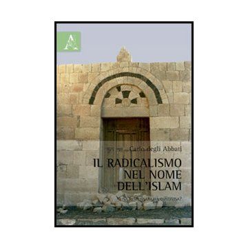 Il Radicalismo Nel Mome Dell'islam. Una Responsabilita' Condivisa?  - Degli Abbati Carlo - Aracne - 9788854862180