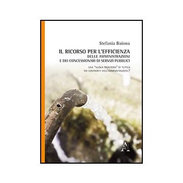 Il Ricorso Per L'efficienza Delle Amministrazioni E Dei Concessionari Di Servizi  Pubblici  - Baiona Stefania - Aracne - 9788854866973