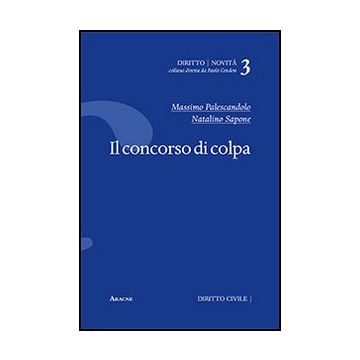 Il Concorso Di Colpa  - Palescandolo Massimo; Sapone Natalino - Aracne - 9788854867215