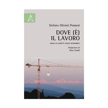 Dove (E')  Il Lavoro. Saggi Su Aspetti Socio-economici - Olivieri Pennesi Stefano - Aracne - 9788854871724