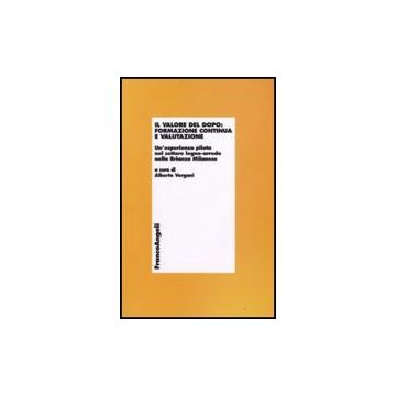 Valore Del Dopo. Formazione Continua E Valutazione. Un'esperienza Pilota Nel (il Settore Del Legno-arredo Nella Brianza Milanese - Vergani A.  - Franco Angeli - 9788856804775