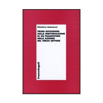 Prime Riflessioni Sull'individuazione Di Un Framework Nelle Aziende Del Terzo Settore - Antonucci Gianluca - Franco Angeli - 9788856839159