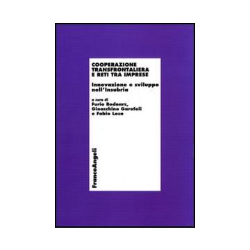 Cooperazione transfrontaliera e reti tra imprese. Innovazione e sviluppo nell'Insubria