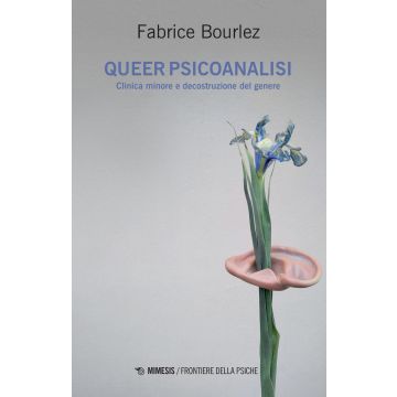 Queer psicoanalisi. Clinica minore e decostruzione del genere