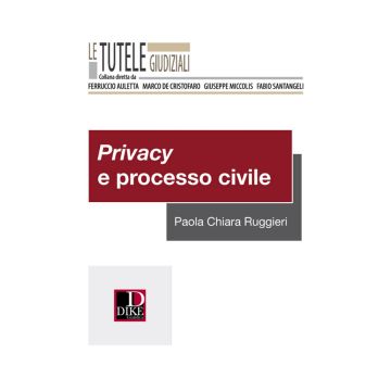 Privacy e processo civile