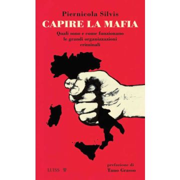 Capire la mafia. Quali sono e come funzionano le grandi organizzazioni criminali