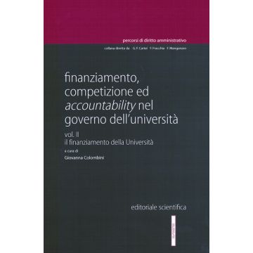 Finanziamento, competizione ed accountability nel governo dell'Università. Il finanziamento dell'Università. Vol. 2