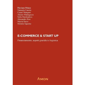 E-commerce & Start up. Finanziamento, aspetti giuridici e logistica