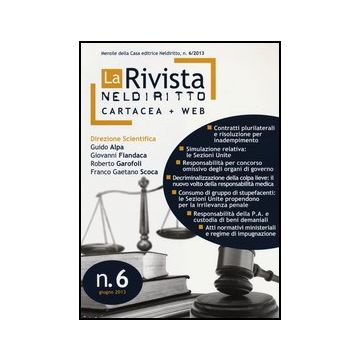 Rivista Di Neldiritto  - Numero 6/2013 - Neldiritto.it - 9788866572183