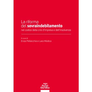 La riforma del sovraindebitamento nel codice della crisi d'impresa e dell'insolvenza