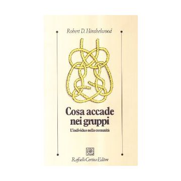 Cosa Accade Nei Gruppi. L'individuo Nella Comunita' - Hinshelwood Robert D. - Cortina Raffaello - 9788870780901