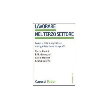 Lavorare Nel Terzo Settore. Come Si Crea E Si Gestisce Un'organizzazione Non Profit