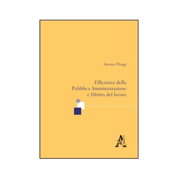 Efficienza Della Pubblica Amministrazione E Diritto Del Lavoro Finalita' Pubblicistiche Della Privatizzazione. - Pileggi Antonio - Aracne - 9788879997331