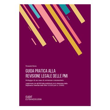 Guida pratica alla revisione legale delle PMI. Sviluppo di un caso di revisione commentato