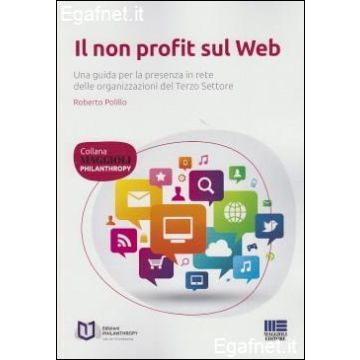Il Non Profit Sul Web  Terzo Settore - Polillo Roberto - Maggioli Editore - 9788891602992