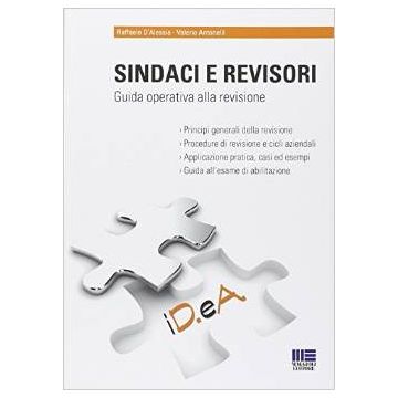 Revisione Dei Conti. Principi, Procedure E Esempi Di Verifica - Antonelli Valerio; D'alessio Raffaele - Maggioli Editore - 9788891605955