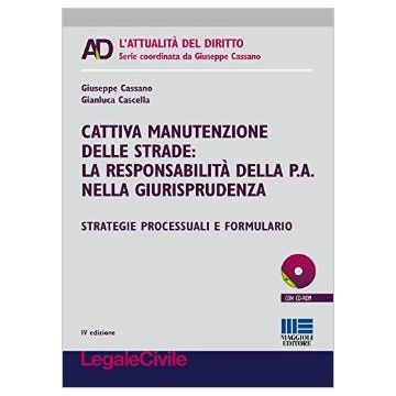 Cattiva manutenzione delle strade: la responsabilità della p.a. nella giurisprudenza - Strategie processuali e formulario     [Cassano - Maggioli Editore] Cassano Giuseppe; Cascella Gianluca 9788891609632