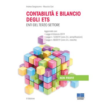 Contabilità e bilancio degli enti del terzo settore 2/ed.