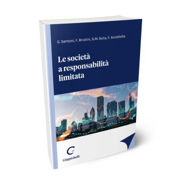Le società a responsabilità limitata