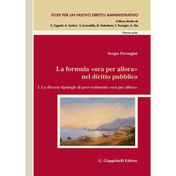 Formula ora per allora nel diritto pubblico. Vol. 1: Le diverse tipologie di provvedimenti «ora per allora».