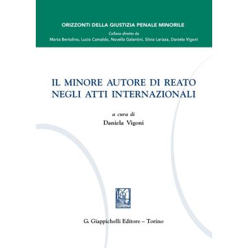 Il minore autore di reato negli atti internazionali