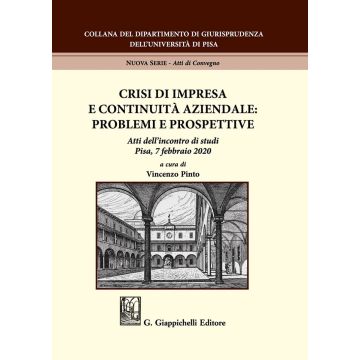 Crisi di impresa e continuità aziendale: problemi e prospettive