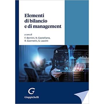 Elementi di bilancio e di management
