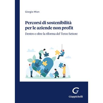 Percorsi di sostenibilità per le aziende non profit. Dentro e oltre la riforma del Terzo Settore
