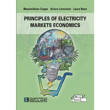 Principles of electricity markets economics