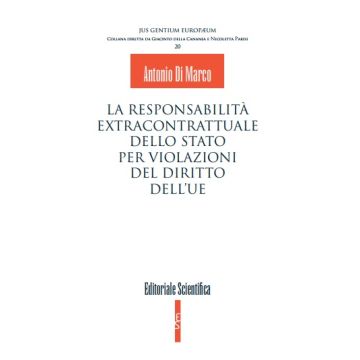 La responsabilità extracontrattuale dello stato per violazioni del diritto dell'UE