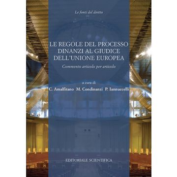 Le regole del processo dinanzi al giudice dell'Unione europea. Commento articolo per articolo