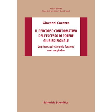 Il percorso conformativo dell'eccesso di potere giurisdizionale. Una ricerca sul vizio della funzione e sul suo giudice