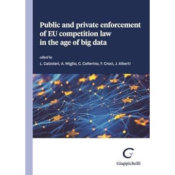 Public and private enforcement of EU competition law in the age of big data