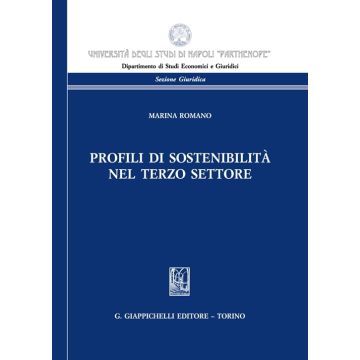 Profili di sostenibilità nel terzo settore