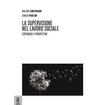 La supervisione nel lavoro sociale. Esperienze e prospettive