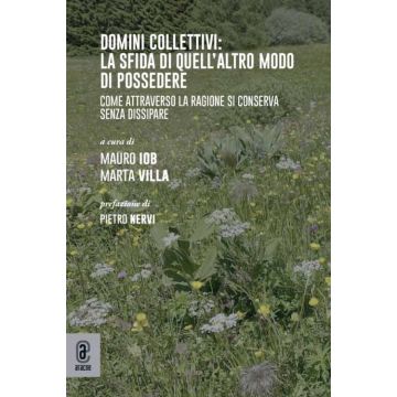 Domini collettivi: la sfida di quell'altro modo di possedere. Come attraverso la ragione si conserva senza dissipare