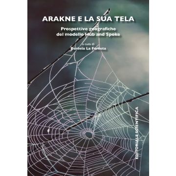 Arakne e la sua tela. Prospettive geografiche del modello Hub and Spoke