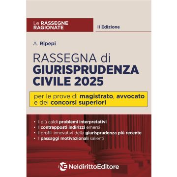 Rassegna di Giurisprudenza ragionata di Diritto civile 2025 - Per Magistratura, avvocato e concorsi superiori - Neldiritto