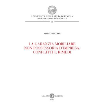 La garanzia mobiliare non possessoria d'impresa: conflitti e rimedi