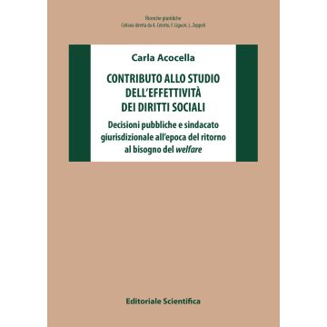 Contributo allo studio dell'effettività dei diritti sociali. Decisioni pubbliche e sindacato giurisdizionale all'epoca del ritorno al bisogno del welfare