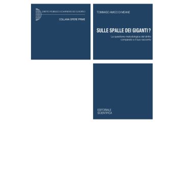 Sulle spalle dei giganti? La questione metodologica del diritto comparato e il suo racconto