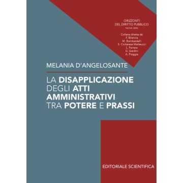 La disapplicazione degli atti amministrativi tra potere e prassi